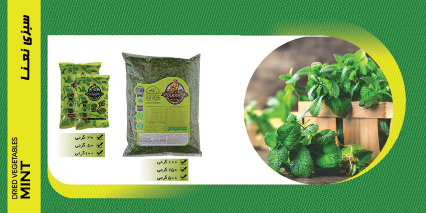 خرید و فروش عمده نعنا خشک پودینه طبس با بهترین کیفیت